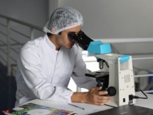 misterlabs